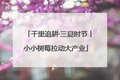 千里追耕·三夏时节丨小小树莓拉动大产业