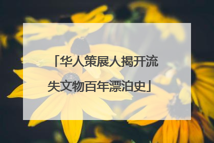 华人策展人揭开流失文物百年漂泊史