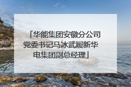 华能集团安徽分公司党委书记马冰武履新华电集团副总经理