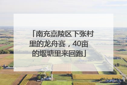 南充嘉陵区下张村里的龙舟赛，40亩的堰塘里来回跑