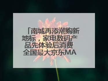 南城再添潮购新地标，家电数码产品先体验后消费 全国最大京东MALL开业