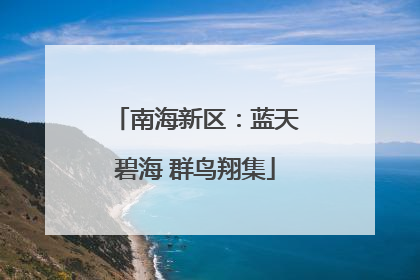 南海新区：蓝天碧海 群鸟翔集