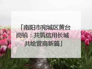 南阳市宛城区黄台岗镇：共筑信用长城 共绘营商新篇