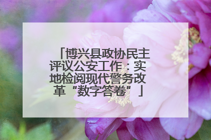 博兴县政协民主评议公安工作：实地检阅现代警务改革“数字答卷”