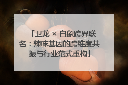 卫龙 × 白象跨界联名：辣味基因的跨维度共振与行业范式重构