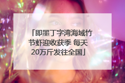 即墨丁字湾海域竹节虾迎收获季 每天20万斤发往全国