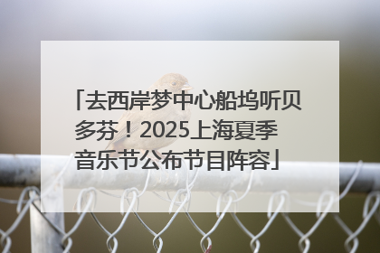 去西岸梦中心船坞听贝多芬！2025上海夏季音乐节公布节目阵容