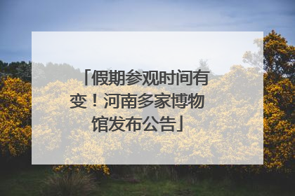 假期参观时间有变！河南多家博物馆发布公告