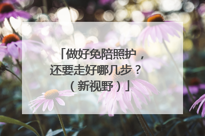 做好免陪照护，还要走好哪几步？（新视野）