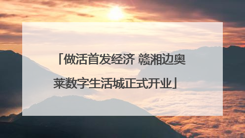 做活首发经济 赣湘边奥莱数字生活城正式开业