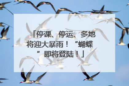 停课、停运、多地将迎大暴雨！“蝴蝶”即将登陆！