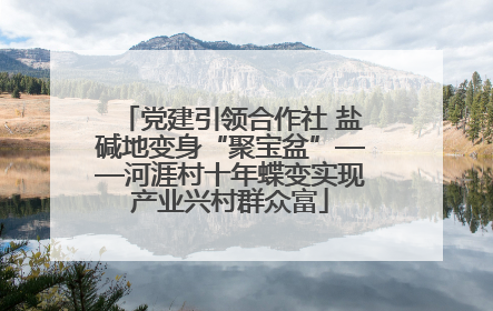 党建引领合作社 盐碱地变身“聚宝盆”——河涯村十年蝶变实现产业兴村群众富