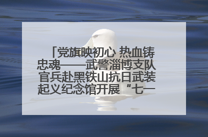 党旗映初心 热血铸忠魂——武警淄博支队官兵赴黑铁山抗日武装起义纪念馆开展“七一”主题党日活动