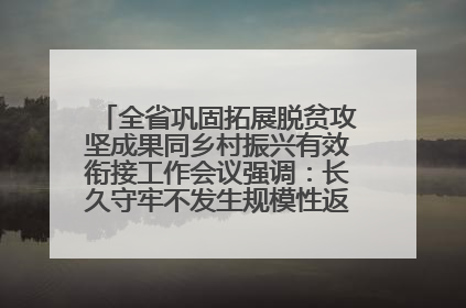 全省巩固拓展脱贫攻坚成果同乡村振兴有效衔接工作会议强调：长久守牢不发生规模性返贫致贫底线 王宁出席并讲话 王予波主持