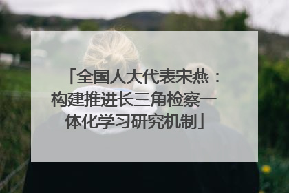全国人大代表宋燕：构建推进长三角检察一体化学习研究机制