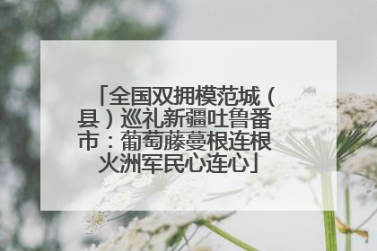全国双拥模范城（县）巡礼新疆吐鲁番市：葡萄藤蔓根连根 火洲军民心连心