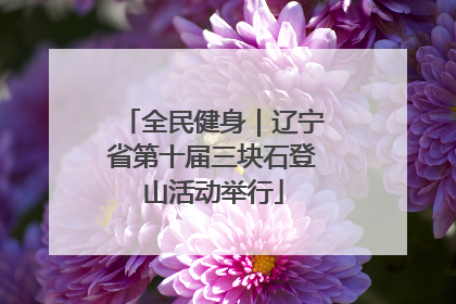 全民健身｜辽宁省第十届三块石登山活动举行