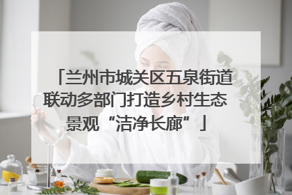 兰州市城关区五泉街道联动多部门打造乡村生态景观“洁净长廊”