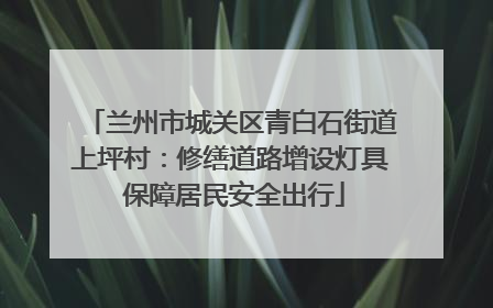 兰州市城关区青白石街道上坪村：修缮道路增设灯具 保障居民安全出行