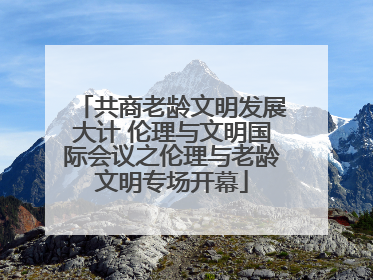 共商老龄文明发展大计 伦理与文明国际会议之伦理与老龄文明专场开幕