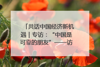 共话中国经济新机遇｜专访：“中国是可靠的朋友”——访马来西亚种植及原产业部副部长陈泓缣