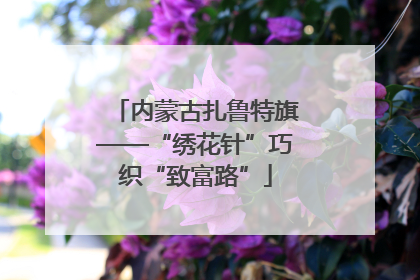 内蒙古扎鲁特旗——“绣花针”巧织“致富路”