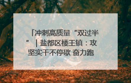 冲刺高质量“双过半”｜盐都区楼王镇：攻坚实干不停歇 奋力跑赢“上半场”