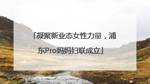 凝聚新业态女性力量，浦东Pro妈妈妇联成立