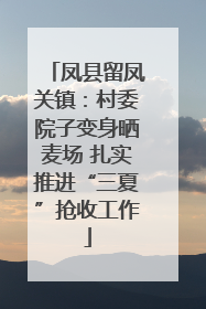 凤县留凤关镇：村委院子变身晒麦场 扎实推进“三夏”抢收工作