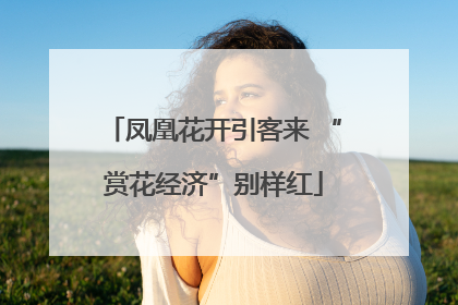 凤凰花开引客来 “赏花经济”别样红