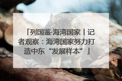 列国鉴·海湾国家丨记者观察：海湾国家努力打造中东“发展样本”