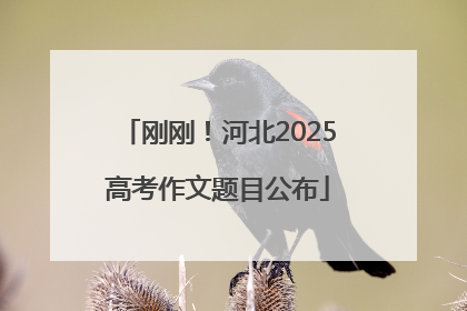 刚刚！河北2025高考作文题目公布