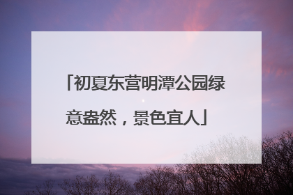 初夏东营明潭公园绿意盎然，景色宜人