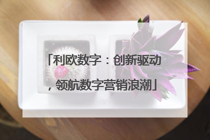 利欧数字：创新驱动，领航数字营销浪潮