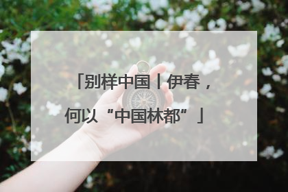 别样中国丨伊春，何以“中国林都”