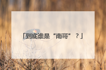 到底谁是“南哥”？