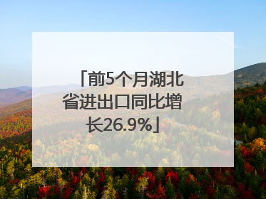 前5个月湖北省进出口同比增长26.9%