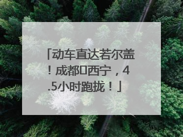 动车直达若尔盖！成都⇄西宁，4.5小时跑拢！