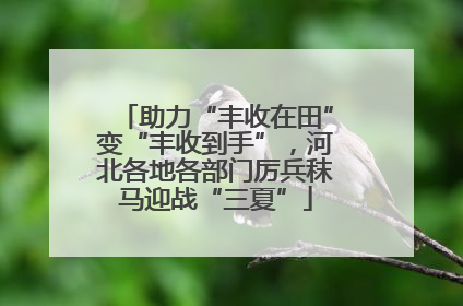 助力“丰收在田”变“丰收到手”，河北各地各部门厉兵秣马迎战“三夏”