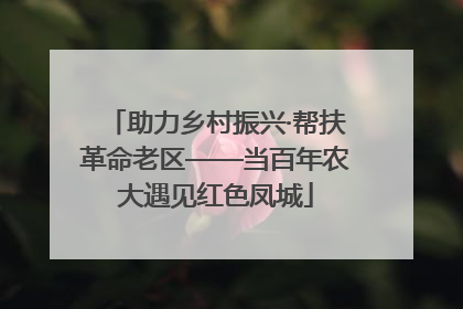 助力乡村振兴·帮扶革命老区——当百年农大遇见红色凤城