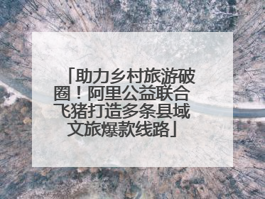 助力乡村旅游破圈！阿里公益联合飞猪打造多条县域文旅爆款线路