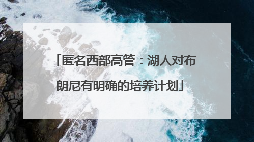 匿名西部高管：湖人对布朗尼有明确的培养计划