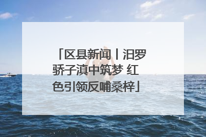 区县新闻丨汨罗骄子滇中筑梦 红色引领反哺桑梓