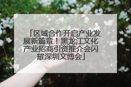 区域合作开启产业发展新篇章！黑龙江文化产业招商引资推介会闪耀深圳文博会
