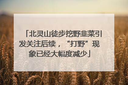 北灵山徒步挖野韭菜引发关注后续，“打野”现象已经大幅度减少