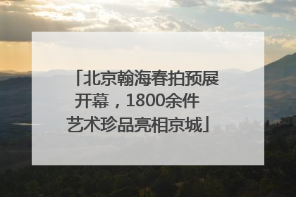 北京翰海春拍预展开幕，1800余件艺术珍品亮相京城