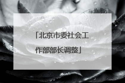 北京市委社会工作部部长调整