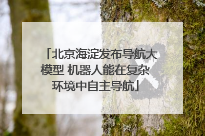 北京海淀发布导航大模型 机器人能在复杂环境中自主导航