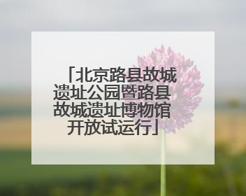 北京路县故城遗址公园暨路县故城遗址博物馆开放试运行