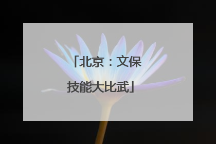 北京：文保技能大比武